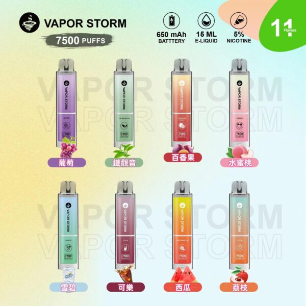【VAPOR STORM 風暴辣妹 】大容量拋棄式7500口電子菸/可充電-蒸汽樂園電子煙